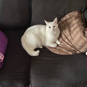 Meet your Posher, Lorraine